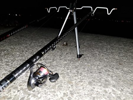 どでかいアイナメ