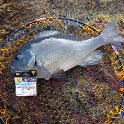 念願の50cmオーバー