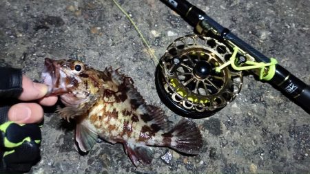 2024/02/10 南港ヘチ釣り釣行