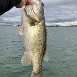 北山田初バス55cm