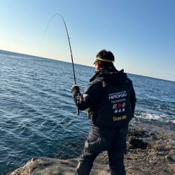 和歌山市江（吉丸渡船）でグレ釣り