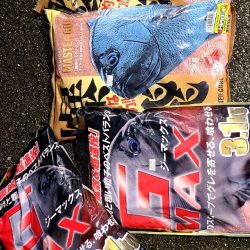 和歌山市江（吉丸渡船）でグレ釣り