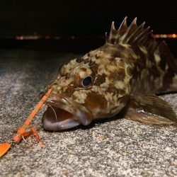 豆クネクネでまさかのヒラメにゃ！