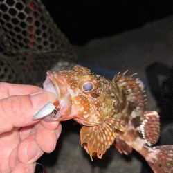 仕事帰りのちょこっとライトワインド♪