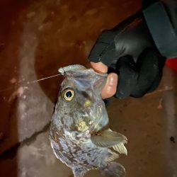 アジングランガン