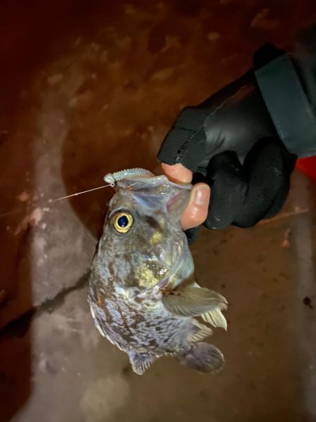 アジングランガン