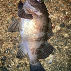 2024ライトゲーム第3戦