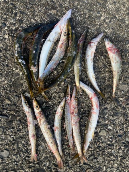 2024ライトゲーム第5戦