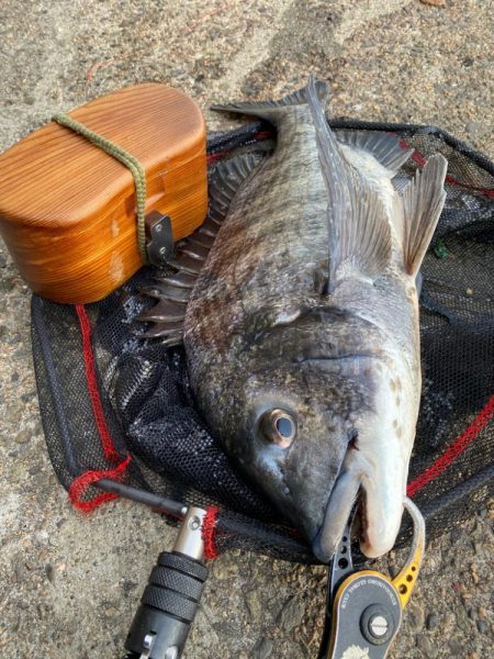 ヘチってきました