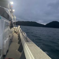 バチコンアジング