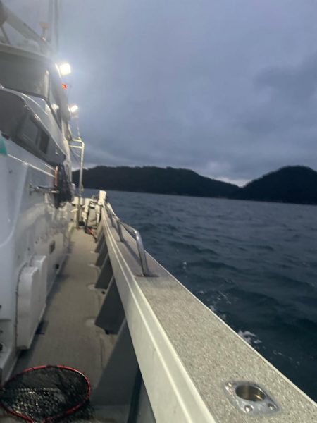 バチコンアジング