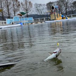 平日は釣り人も少ない、かめプー