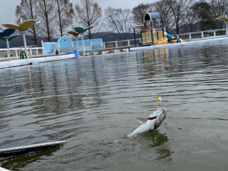 平日は釣り人も少ない、かめプー
