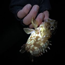 和歌山遠征😎😎