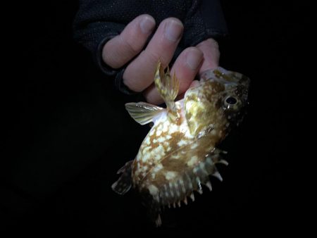 和歌山遠征😎😎