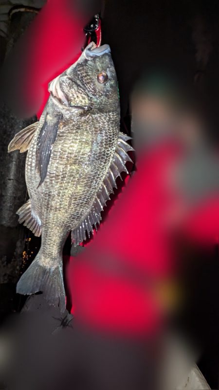 ボートチヌジギング