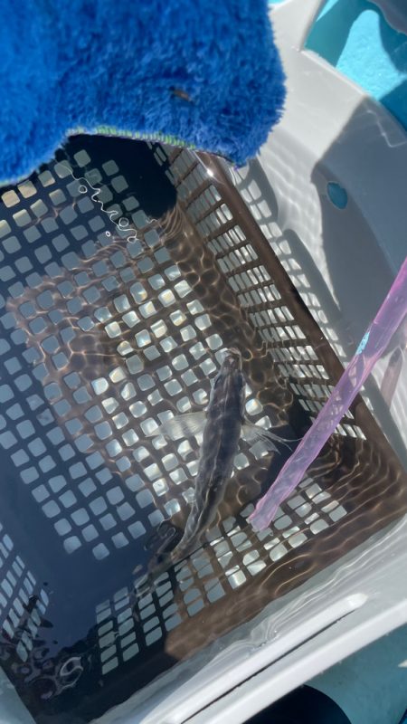 今月末で閉業との事