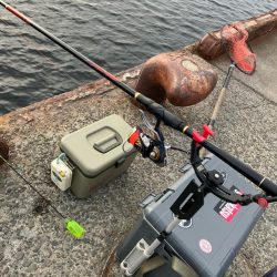 エビ撒きでハネ