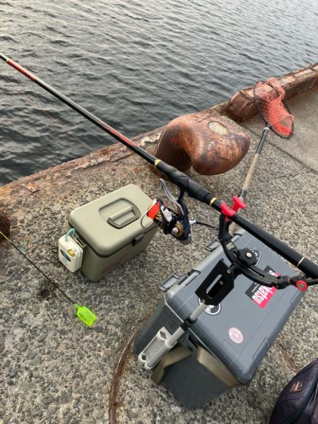 エビ撒きでハネ