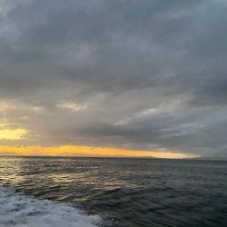 バチコンアジング