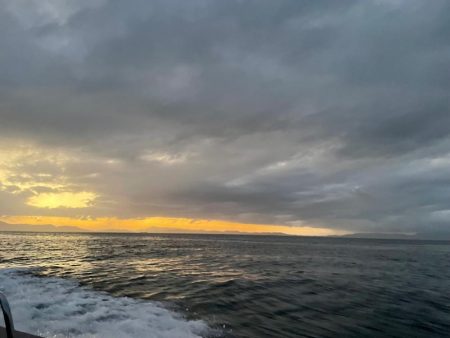 バチコンアジング