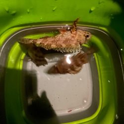 少し厳しかった…