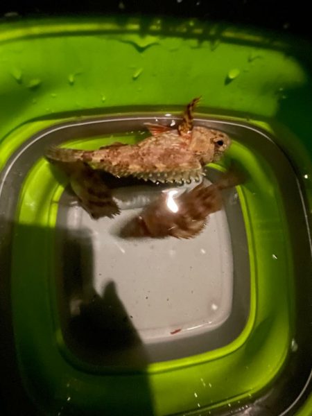 少し厳しかった…