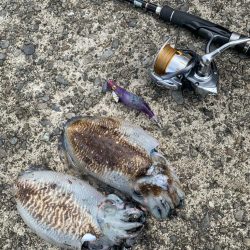 狙い通りに釣れたら嬉しいですね♪