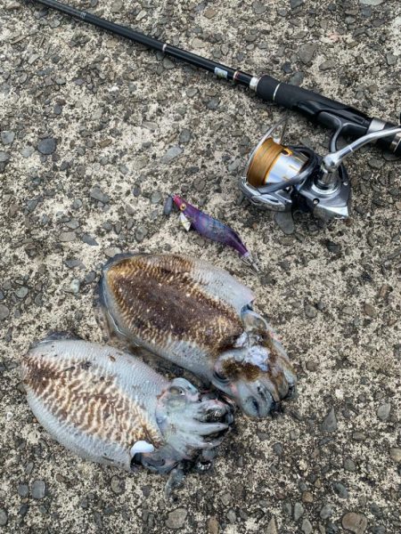 狙い通りに釣れたら嬉しいですね♪