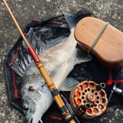 ヘチってきました