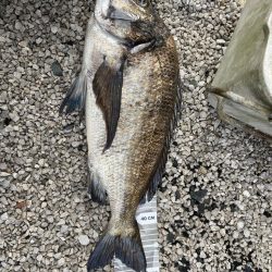 新規開拓したよ