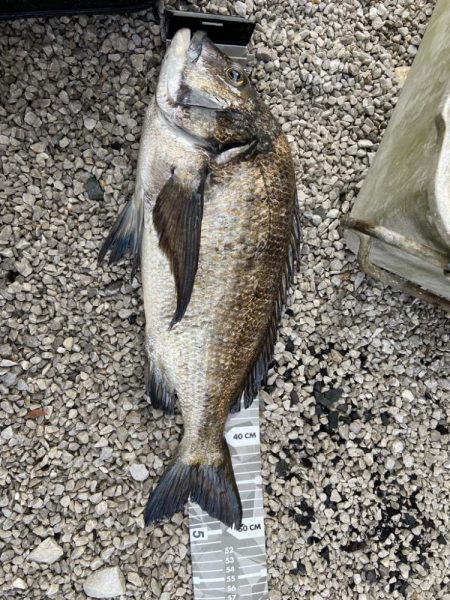 新規開拓したよ