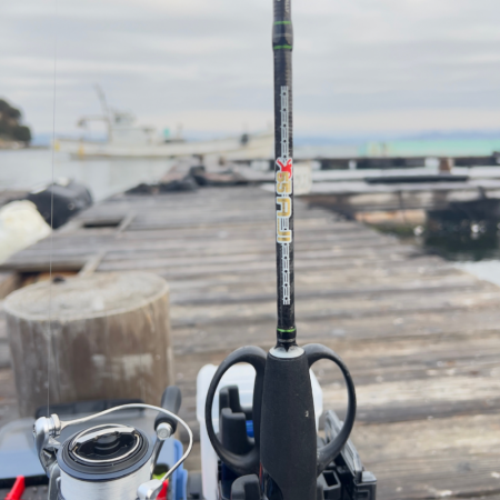 サーモン/ルアー・脈釣り