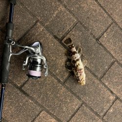 アタリはあるがなかなか乗らず