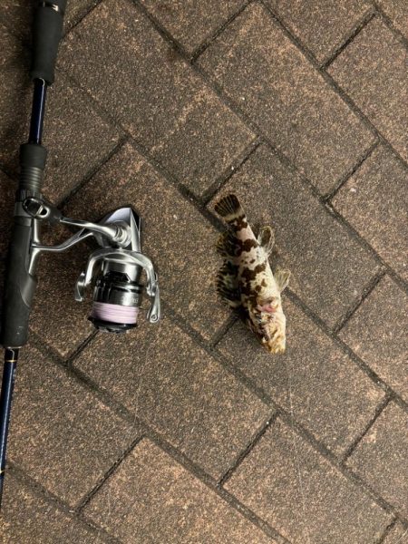 アタリはあるがなかなか乗らず