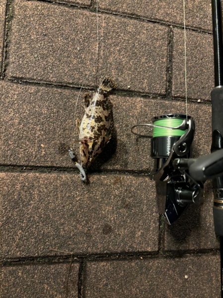 前回と同じとはならず🐟