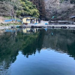 エリアトラウト