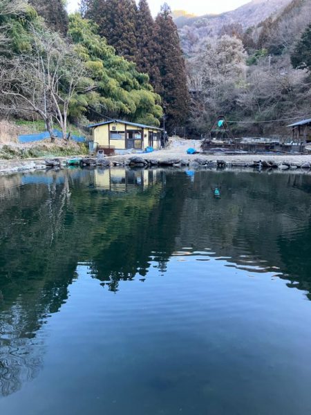 エリアトラウト