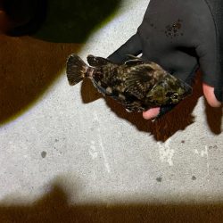 激渋ライトゲーム