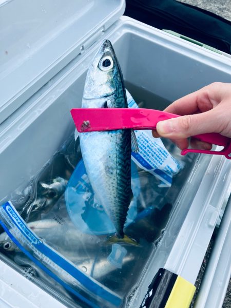 朝から人がたくさん