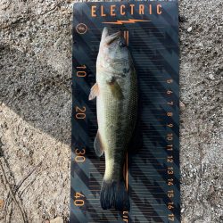 2024年ホームレイク