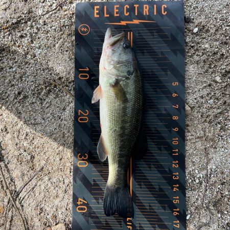 2024年ホームレイク