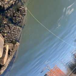 Newロッド闘魂注入