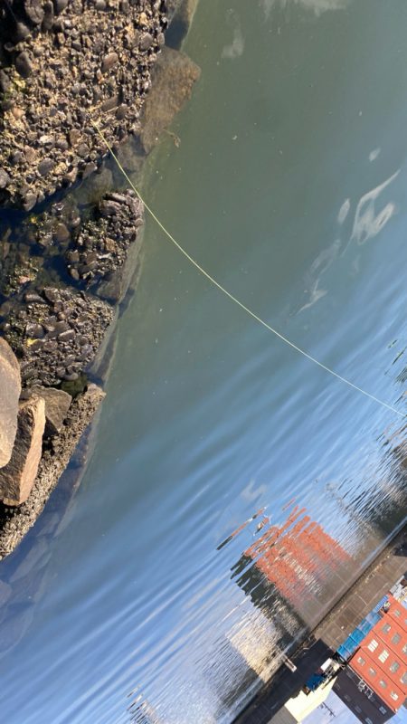 Newロッド闘魂注入