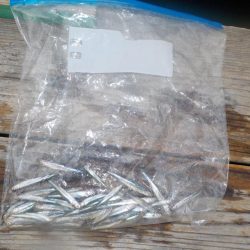 ワカサギ第9戦絶好調〜佐仲ダム〜