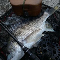 ヘチってきました