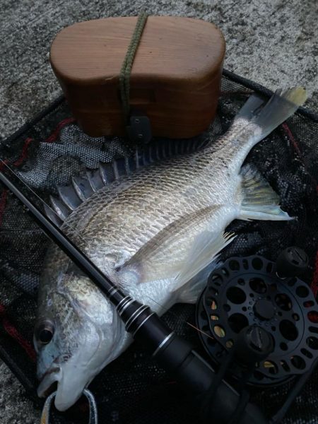 ヘチってきました