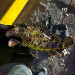 何とかライトゲーム成立の四日市