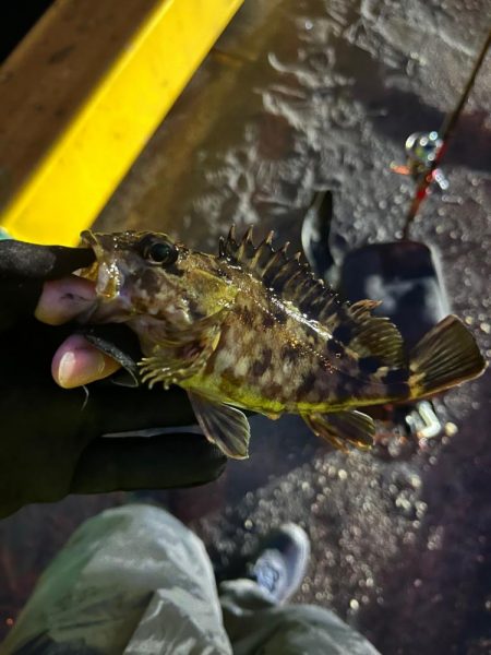 何とかライトゲーム成立の四日市