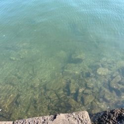 潮と心は少し濁ってるくらいが丁度いい